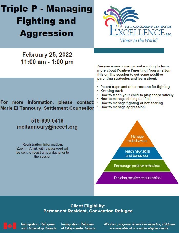 Triple P - Managing Fighting and Aggression Flyer